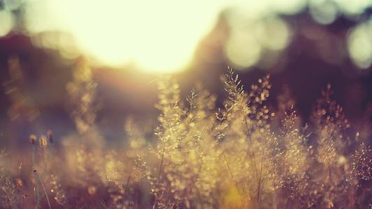 KimKom|十二星座中最聪明的五个星座,谁是第一?