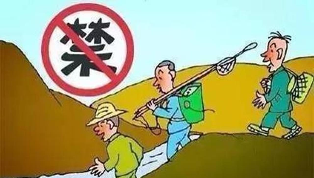 平空间 广西阳朔出怪事，3名男子白天睡觉深夜出门，到底在干什么？