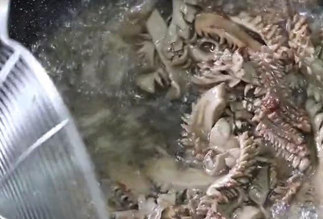 洋葱|男人要想体力好,这道菜要多吃,抵抗疲劳白天晚上都有精神