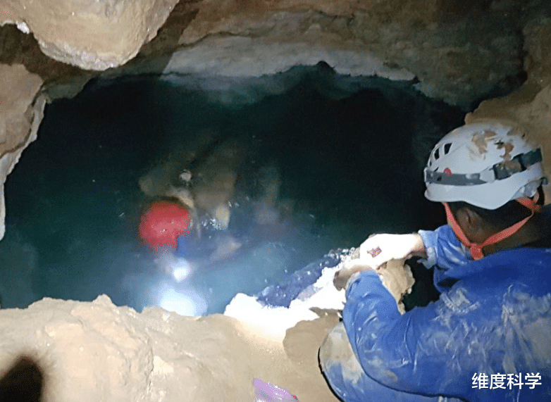 科学家 这个洞穴没有阳光，却拥有一套完整的生态系统，独自存在500万年