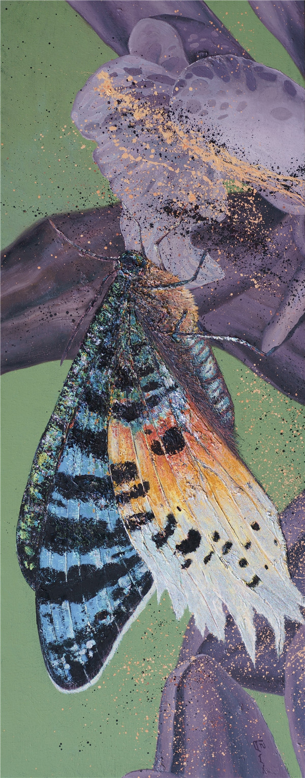 蝴蝶|翅膀之上——许华荣个展