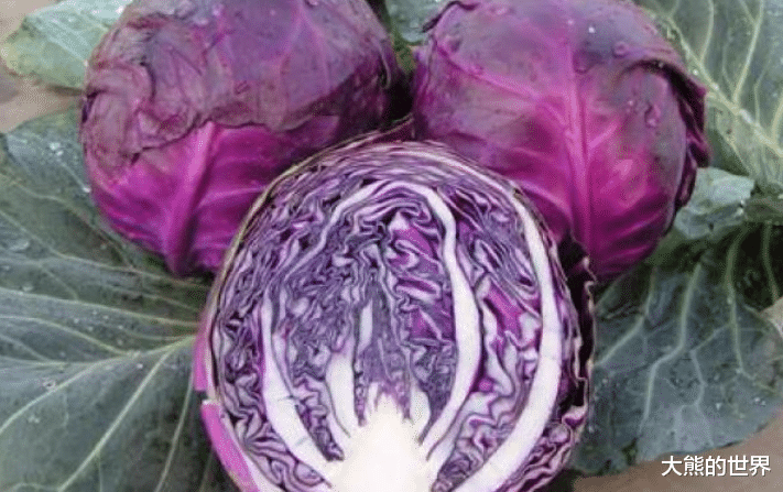 通便|如果条件允许，女人多吃5样食物，富含花青素，抗衰老越吃越年轻