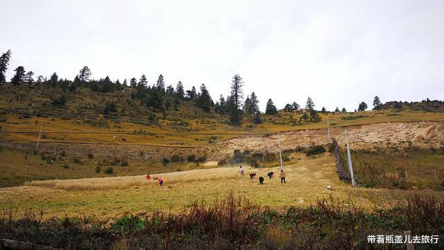 东达山 川藏线上海拔最高的东达山，号称生命禁区，一年至少10个月会下雪