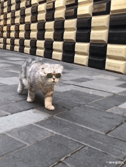 比特币 朋友为了娶空姐，哭着卖掉50枚比特币，现在睡觉都会笑醒！哈哈哈