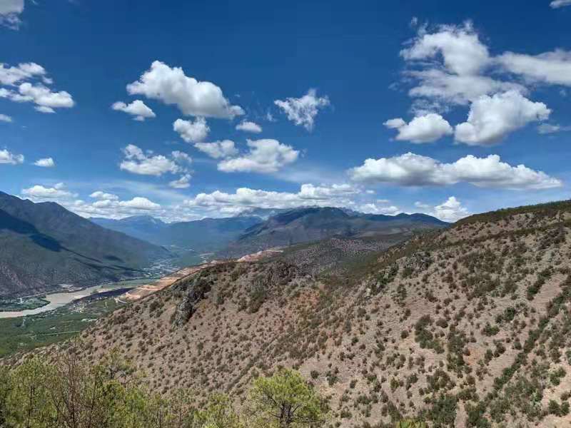 蜂蜜|关于虚劳的中医理论