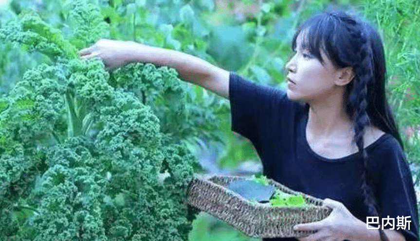 一条小团团|又一个“李子柒”，小团团被6亿违约金逼疯，还不上钱曾想过跳楼