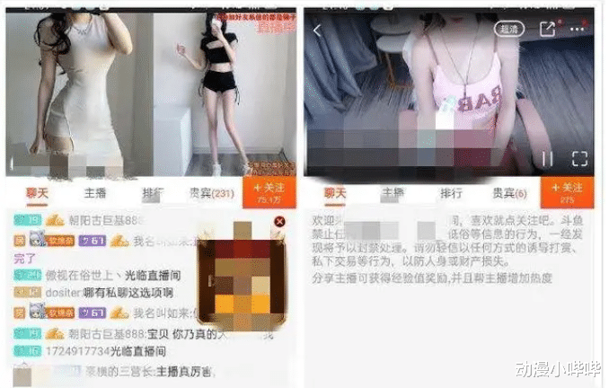 二次元|二次元直播不良风气过盛,秀才艺已过时,低俗卖萌成“财富密码”