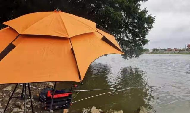 |四月初，鲤鱼反而更好钓，这三个地方鲤鱼一大堆，钓完特过瘾