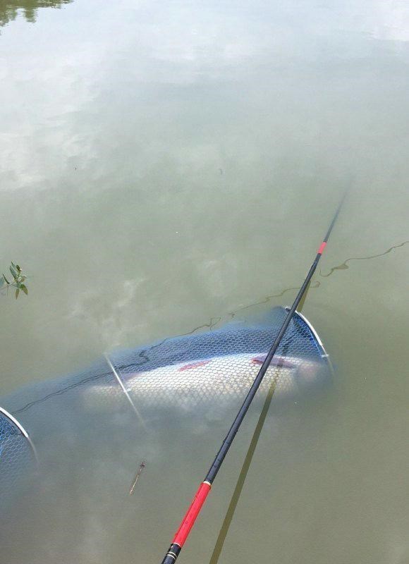 长江|男子钓鱼“钓到自己”被困深山，男子：没有信号，手疼得没法开车
