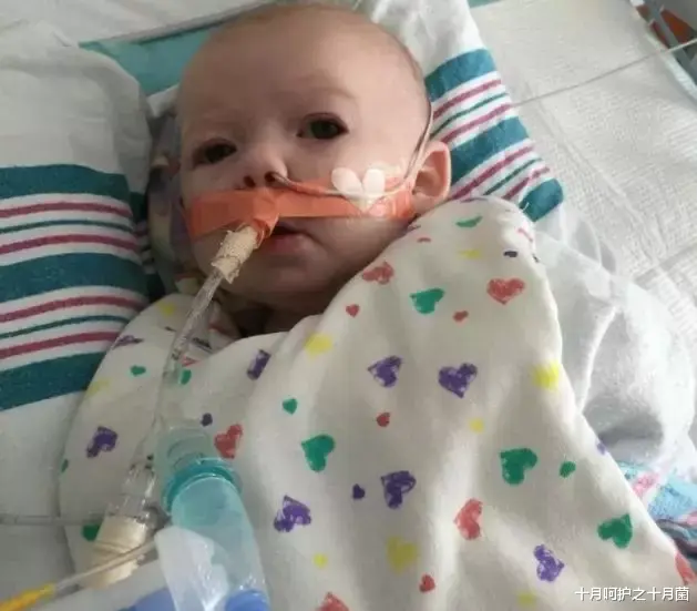 十月呵护之十月菌|带孩子出门，第一防人贩子，第二防这种人