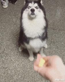 时光了了说说|“酒吧装醉亲了下身边的妹子,结果...”哈哈哈兄弟你戏份有点多!