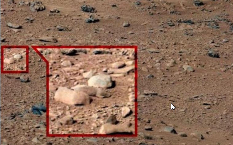 美国探测器一直拍火星上的树木和森林?这幅画是真的,但很奇怪