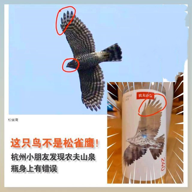 诺妈家有男宝娃|家有孩子太听话，一定要多“拒绝”他，不然就是在害他