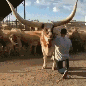 咸蛋的小姐|蚊子咬我不咬老公是因为我香吗？哈哈哈，神评小伙也太耿直了！