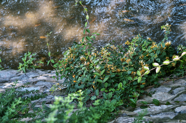 生肖|哪3个生肖，进入6月时来运转，贵人亲近，收获好成果，告别贫穷