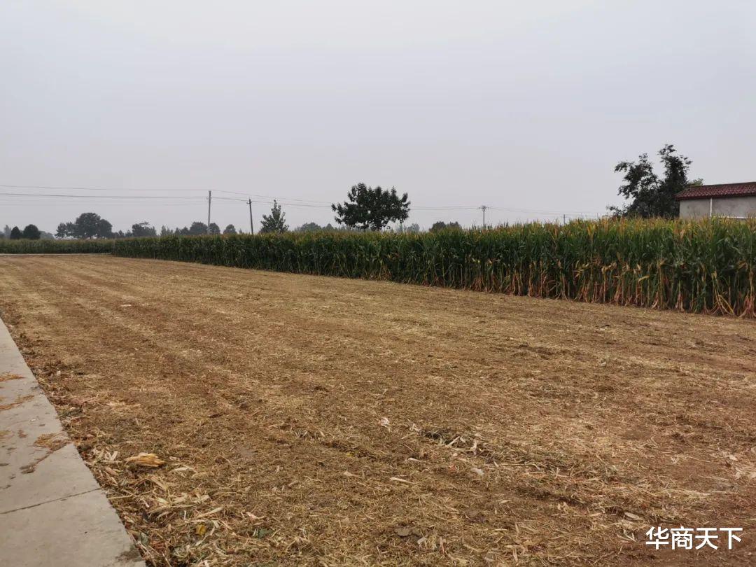 华商天下 我是一个农民,上半生在田里,下半生在逃离!