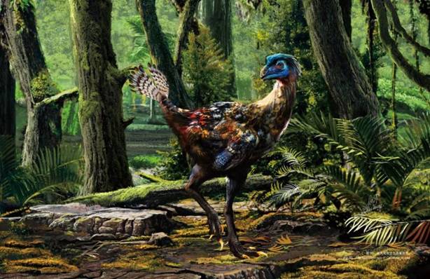 恐龙 罕见！恐龙DNA疑被发现，我国能将恐龙复活吗？