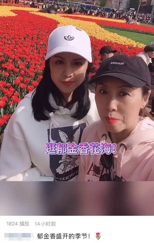 悬崖之上|郑爽开庭出了这么大的事，看爽妈这天在干嘛 网友：奇葩，心太大了