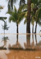  骗子发短信，骗子哭了，骗子：你打断了我骗你的思路！笑死了