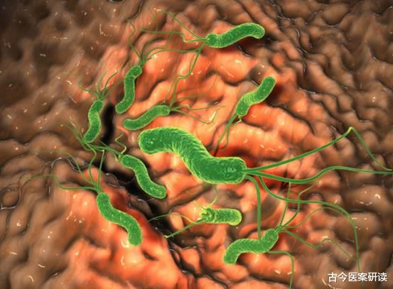 西红柿|胃不好不能吃西红柿？医生指出：不止西红柿，这3种食物也伤胃，要少吃