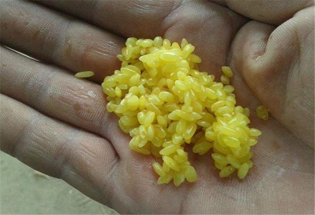 |钓鱼打窝的4个法则，水浅水深大不同，把握好了自然渔获多多