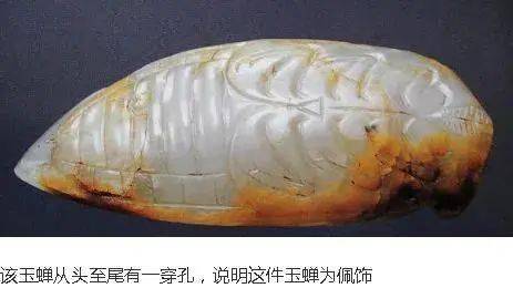 雕刻|浅论汉代玉蝉