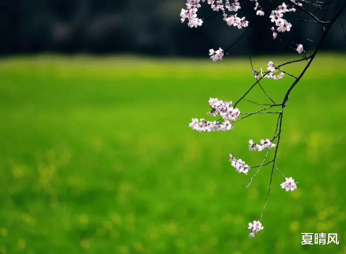 养生|心态不好,所有的养生都是徒劳