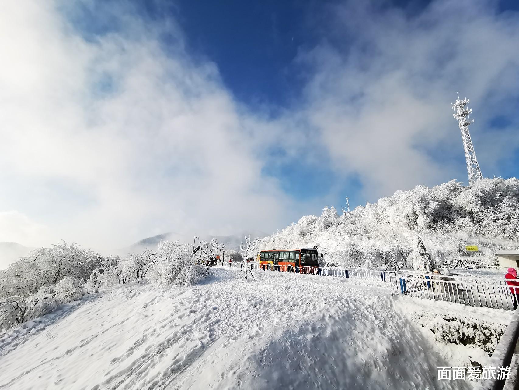 四川一景区宰客严重,管理人员无视游客投诉,网友:?吃香?太难看