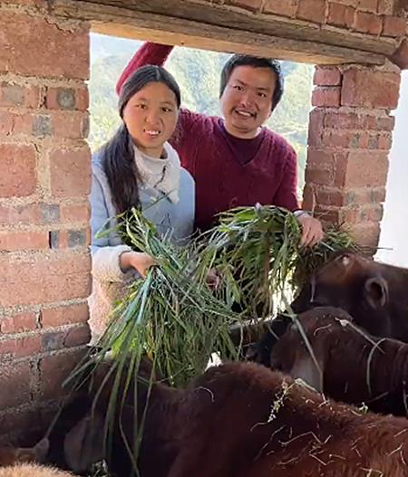 教育为本|牛爱芳夫妇拒绝道歉?删干净道歉信,重新更新放牛日常,脸皮真厚