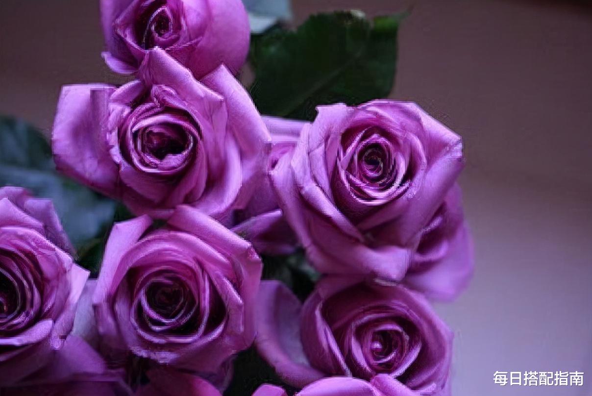 每日搭配指南 “基础色”才是万能色，搞懂基础色的含义，再也不怕穿衣显廉价