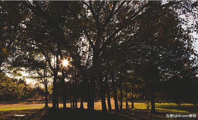 学会这7个技巧,利用光圈参数设置拍出不同类型的好照片