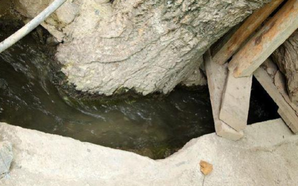 科学家 地底之下，科学家发现以硫酸盐为生的顽强生物，打破了人们认知