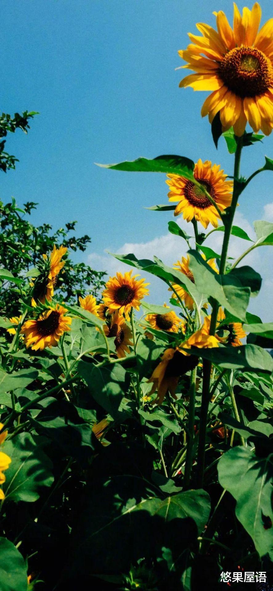 天蝎座|2021年，在职场当中，会感受到压力的3个星座