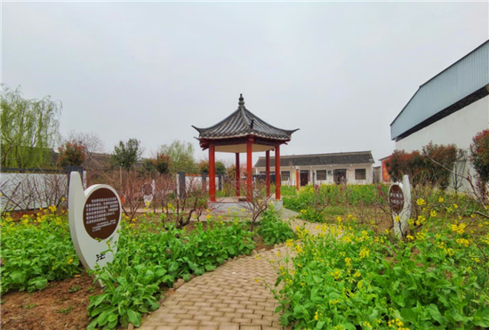 中华网河南 河南太康：村美民富乡风淳