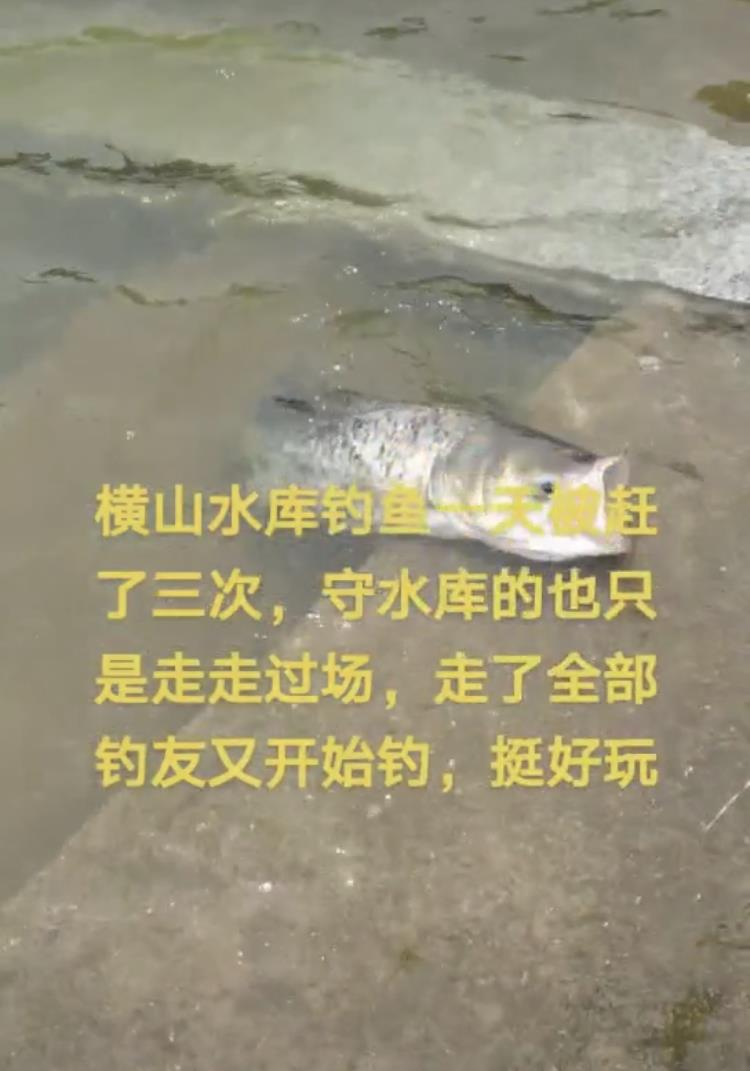 水库|江西男子水库钓鱼20斤，不顾劝阻还戏称“很好玩”，最后被拘留