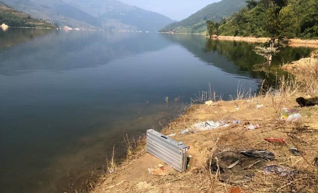 鲫鱼|云南钓鱼人澜沧江钓起了多条“黄金鲤”,这是外来物种吗?