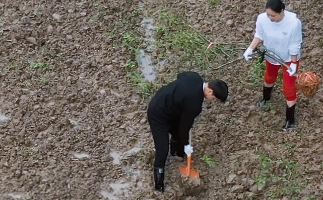张艺兴|张艺兴下地种树，脚上的鞋子成全场焦点，是不是真干活一目了然
