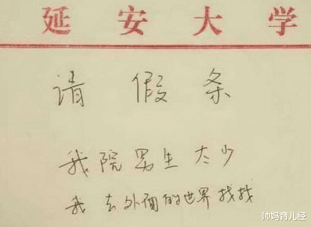 大学生|大学生“花式”请假，辅导员看后忍俊不禁，喂恐龙是认真的吗？