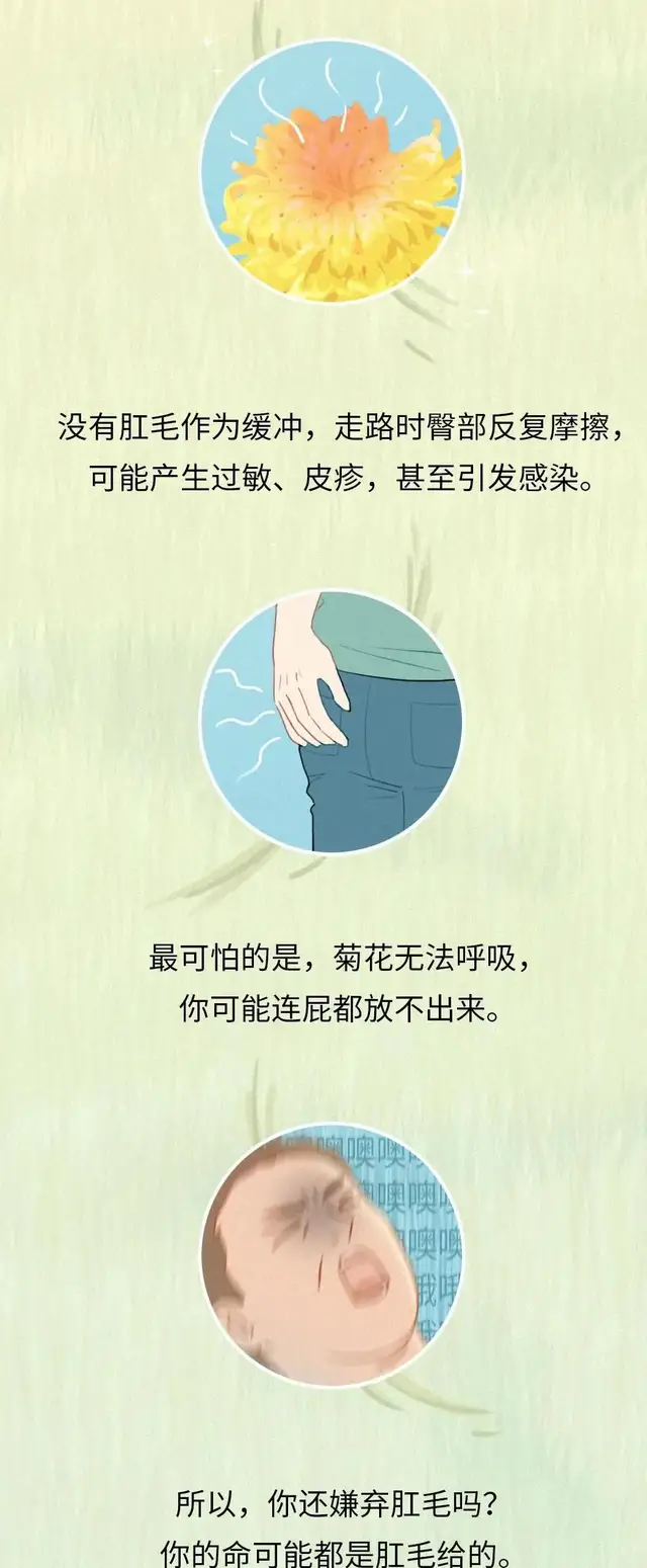 漫画|为什么人会长“屁屁毛”？若是刮掉会怎样？涨知识了！（漫画）