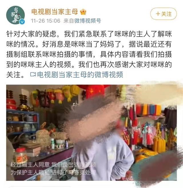 当家主母|猫不是毒死是电死！《当家主母》已经报案：网友不买账