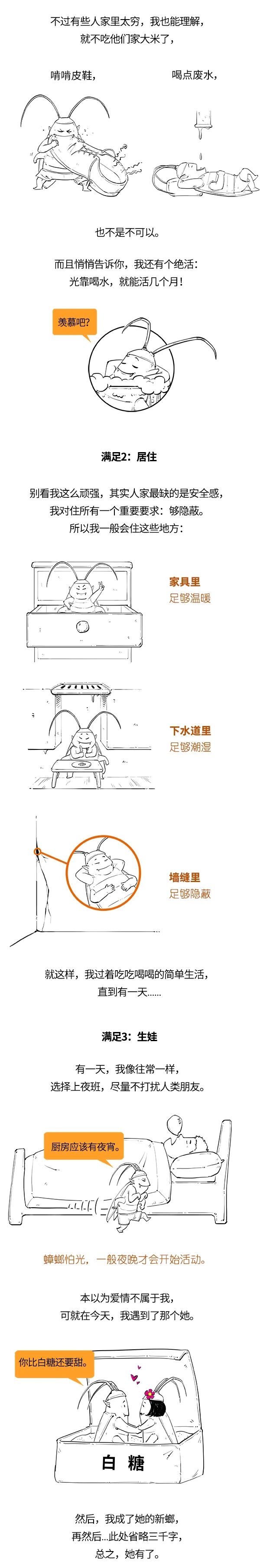 蟑螂 蟑螂：人类是我最好的朋友！