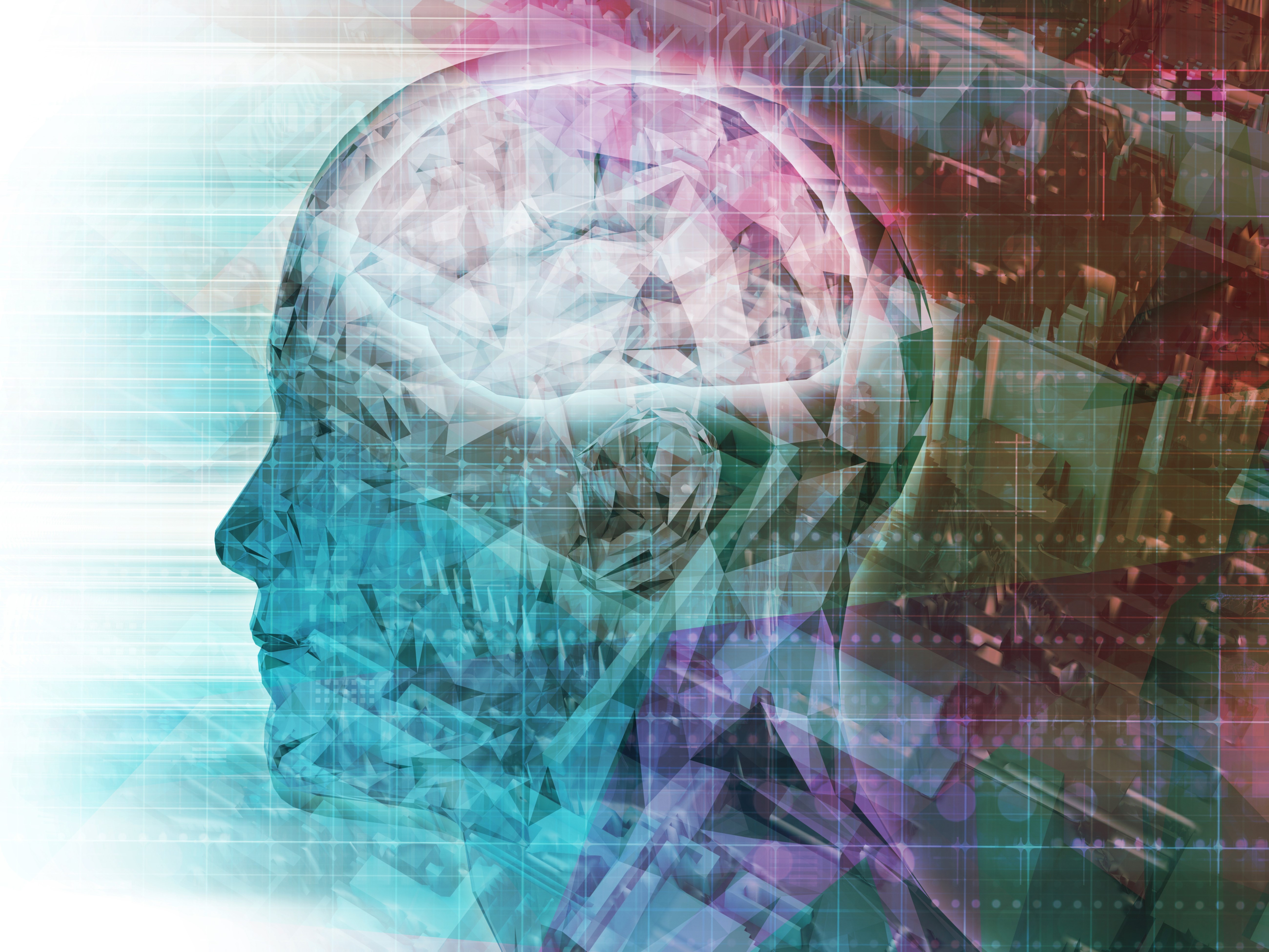  认知心理学：无法逃脱情绪藩篱的原因，是因为我们活在大脑中，而不是现实