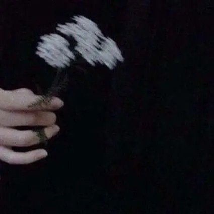 墨陌文案馆|对一段感情失落的虐心文案