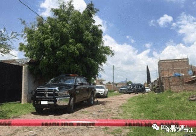  路口和灌木丛中发现4具尸体，包括一名公务员