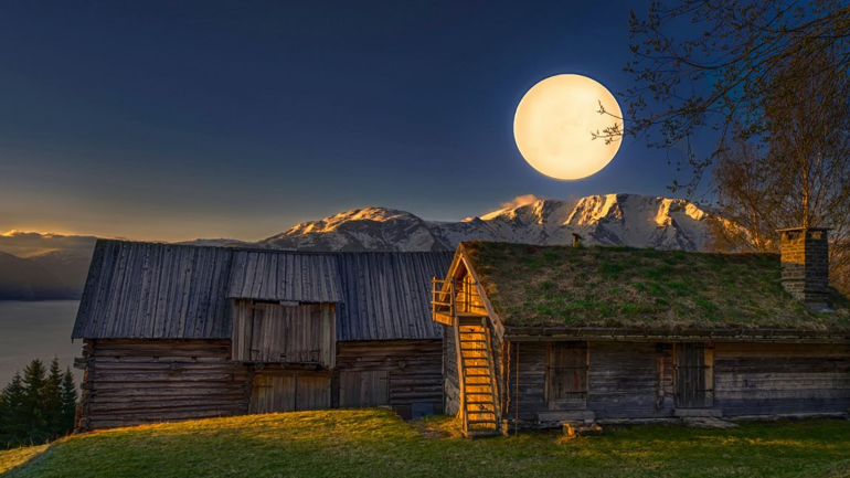 |一个普通上班族，职场工作心得体会总结，一共九条