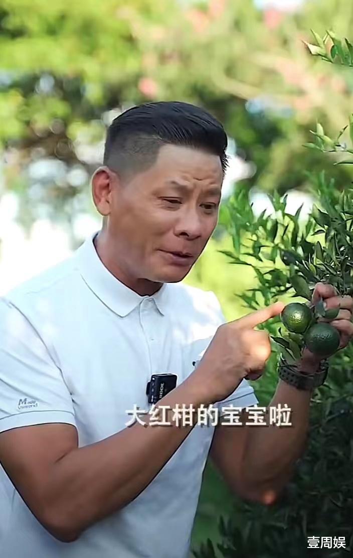 三十而已|TVB真是留不住人，51岁林敬刚转行卖水果，曾给万梓良下跪拜师！