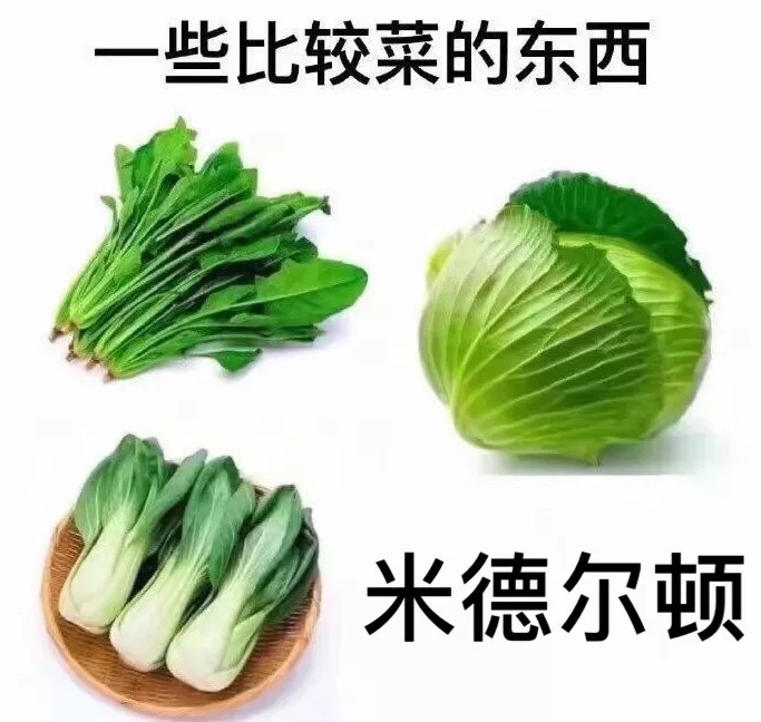 字母哥|49分！字母哥被吓坏了！差距，这就是差距啊