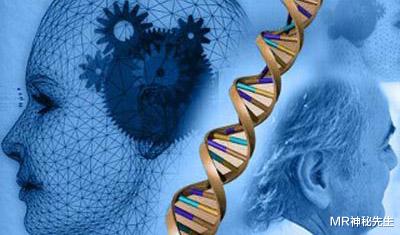 考古新发现！一坨5700年前的“口香糖”，保留着少女的完整DNA