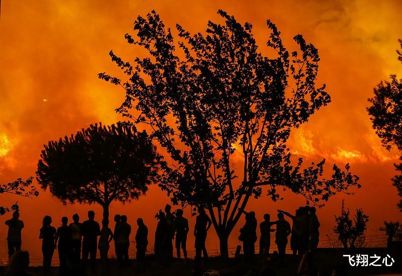 土耳其 热浪袭击野火狂烧 土耳其塞浦路斯地表温度破50摄氏度