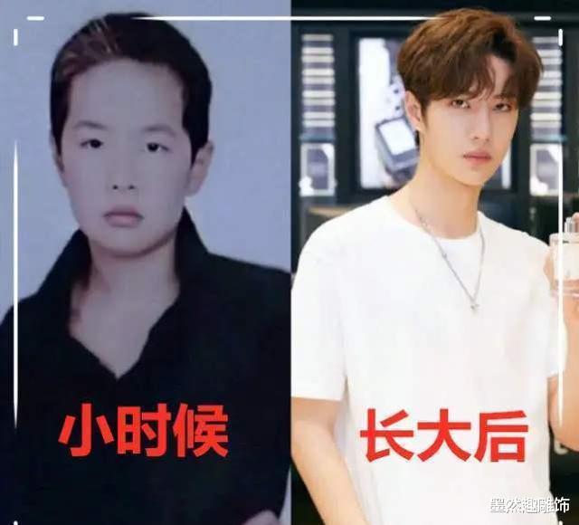 王一博|王一博为何成娱乐圈“香饽饽”？汪涵一句话道出真相，肖战不能比